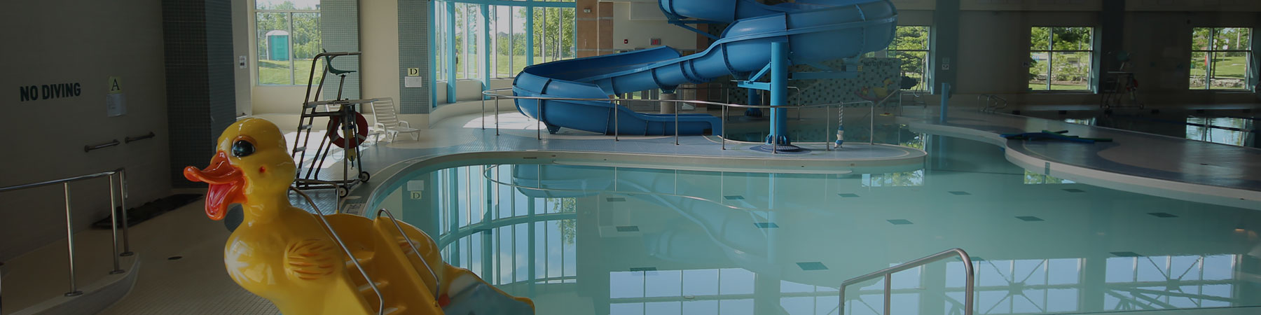 Kids play pool with slide shaped like a rubber ducky